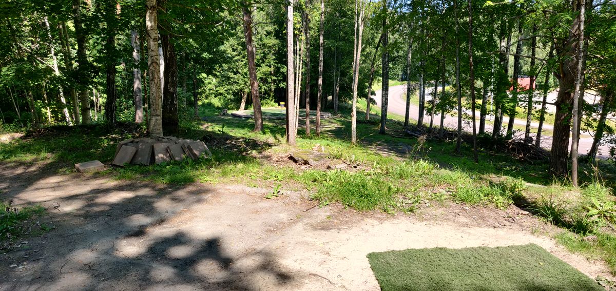 Hål 6, ö-hål där du kan ta bägge vägarna runt dungen. Från röd slinga är allt utanför ön hazard.