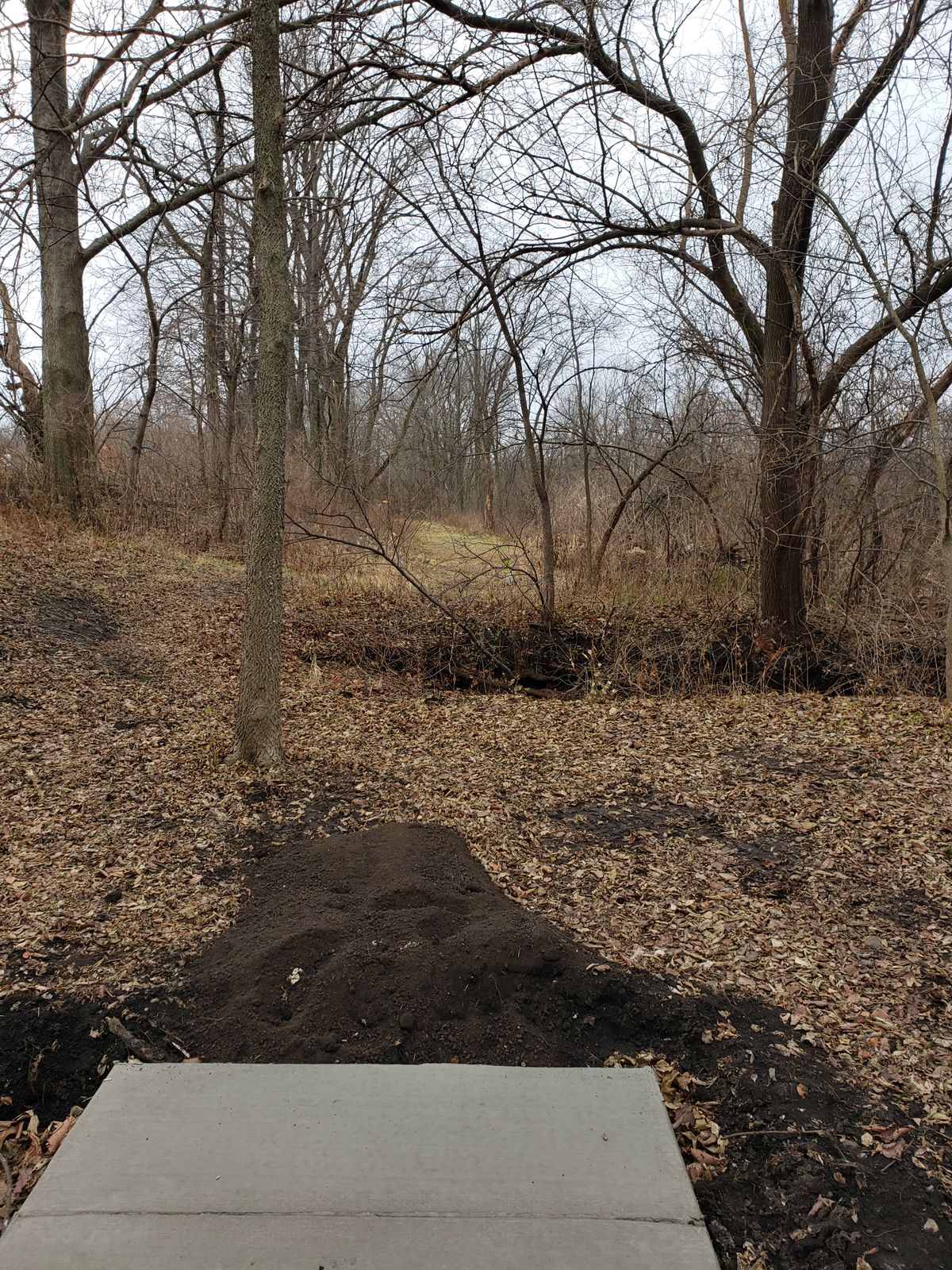 Hole 8 long