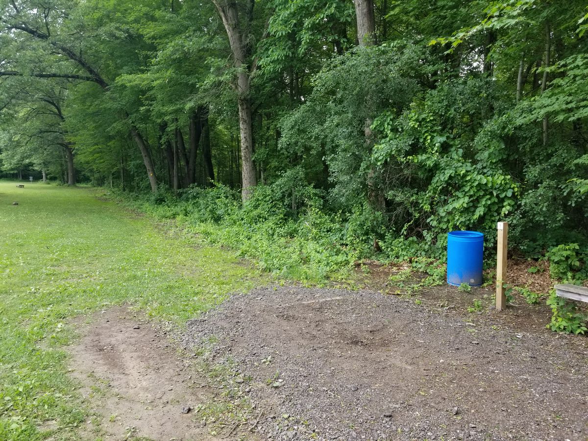 Hole #1 is south of the lot/building and is the only "open" shot on the course