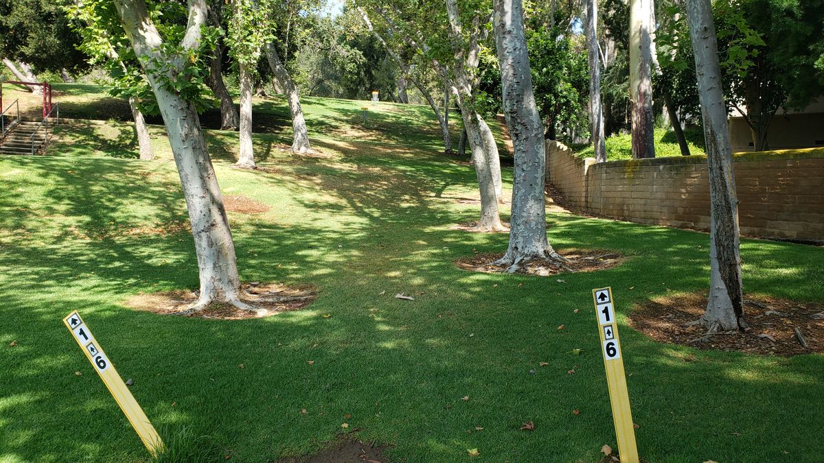 Tee for holes 1 and 6