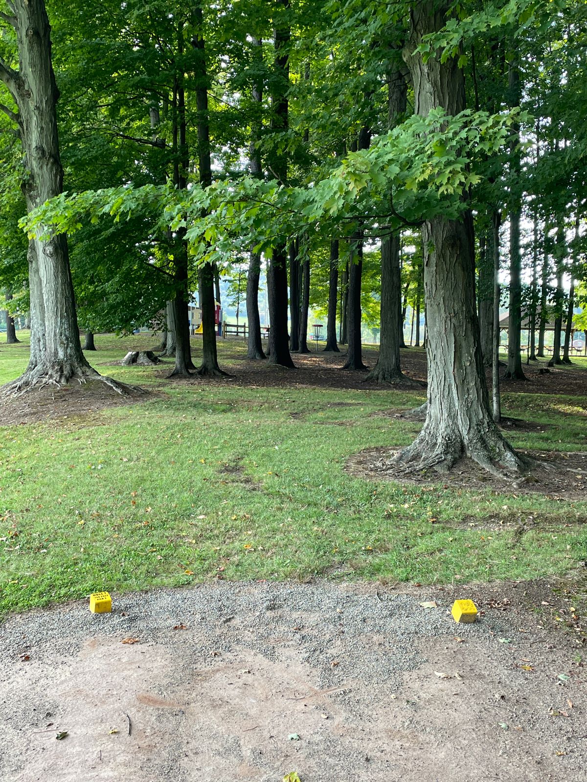 Hole 7