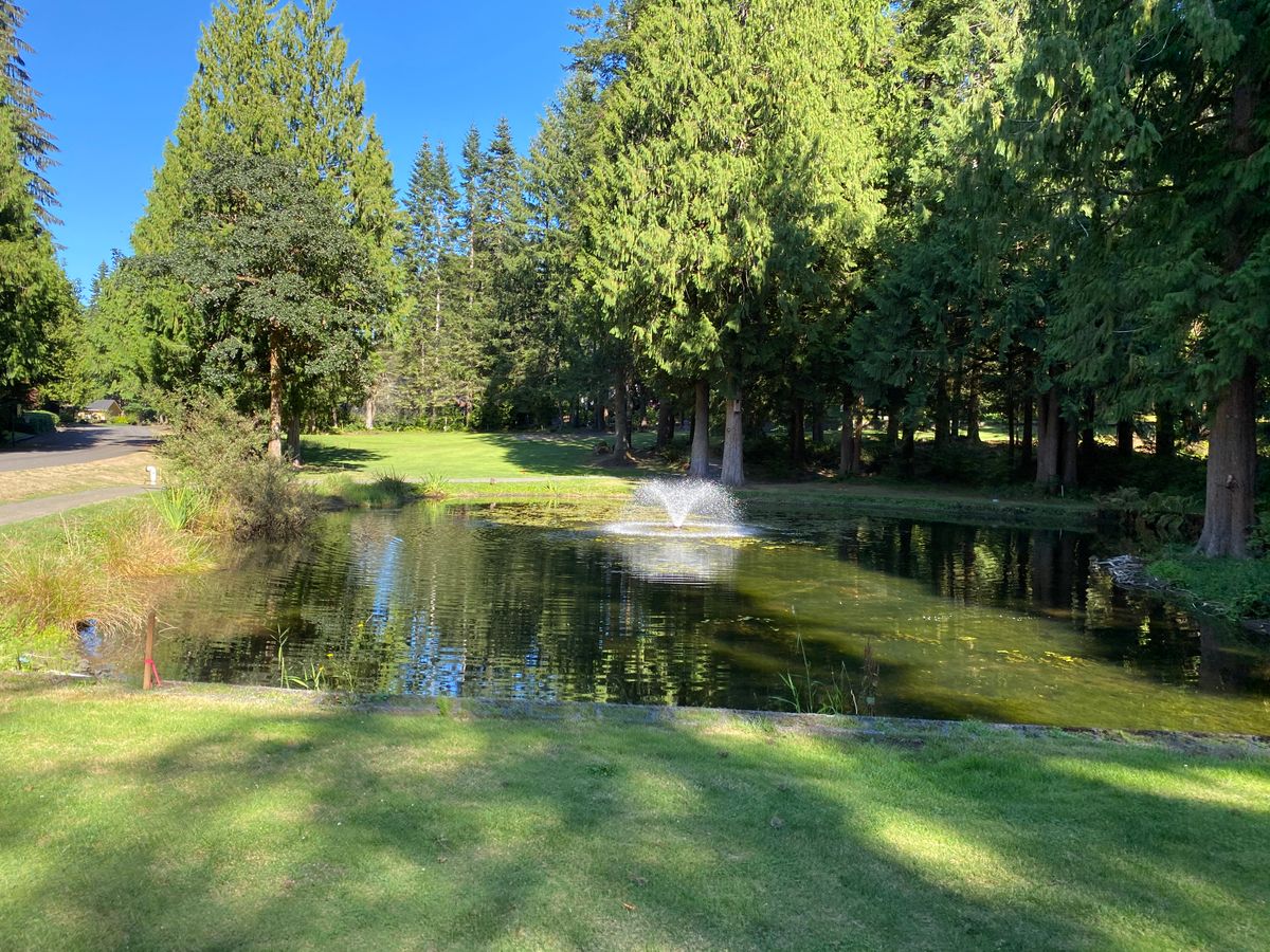 Hole 6 fairway.
