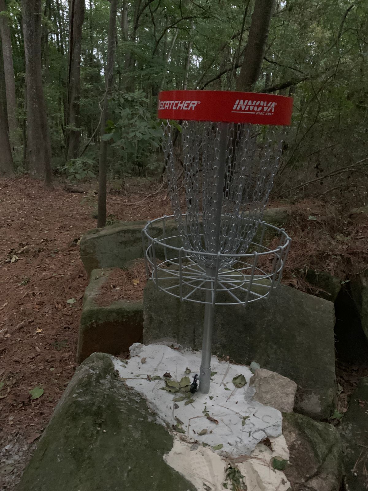 Hole 7 basket