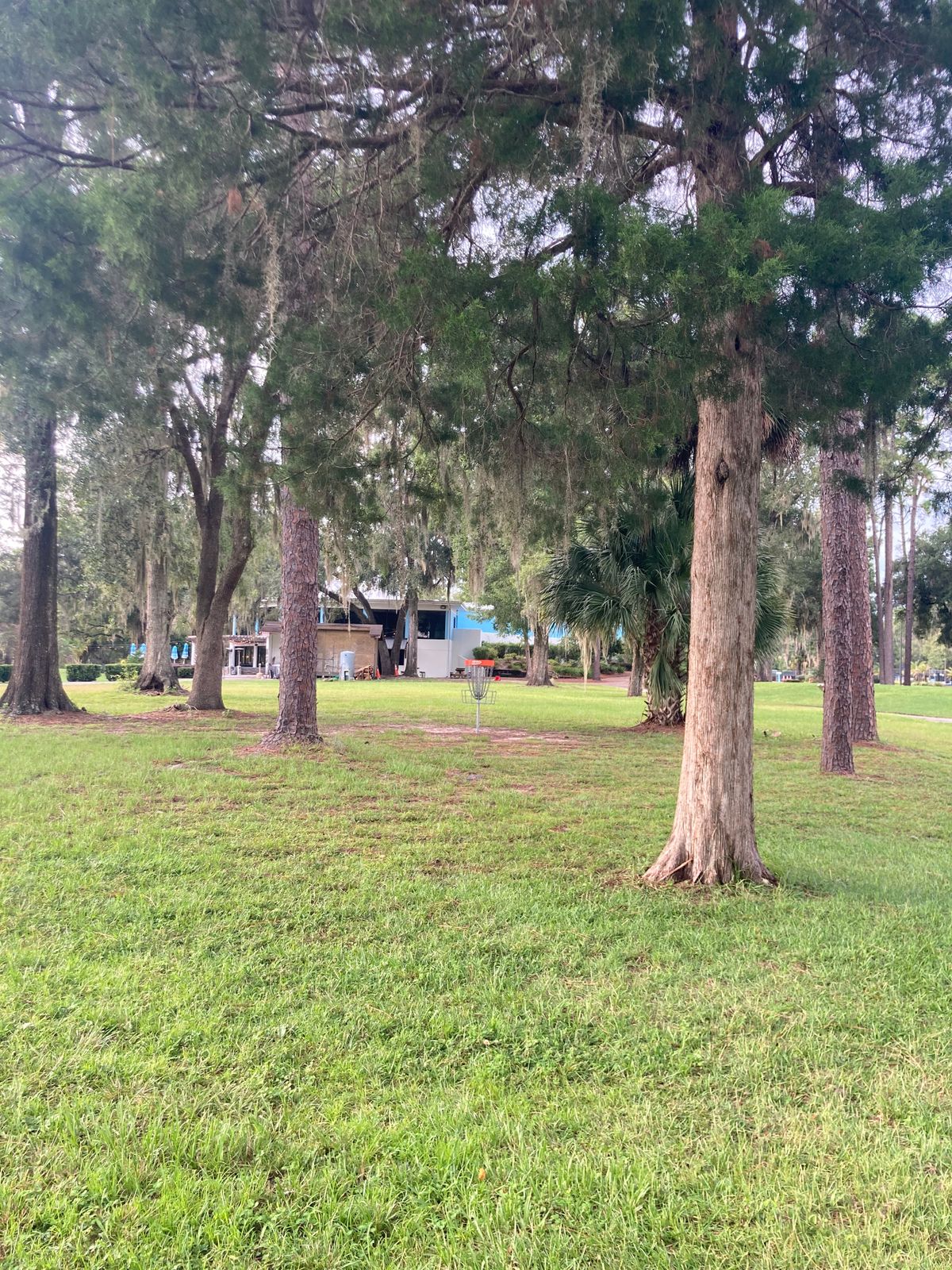 Hole 9 Basket