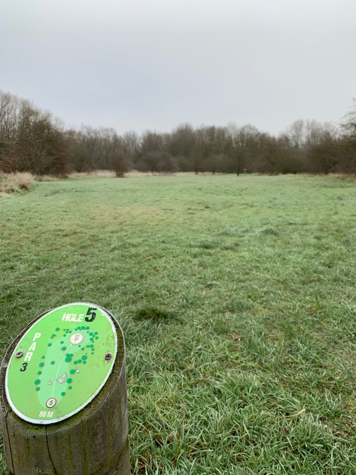 Hole 5