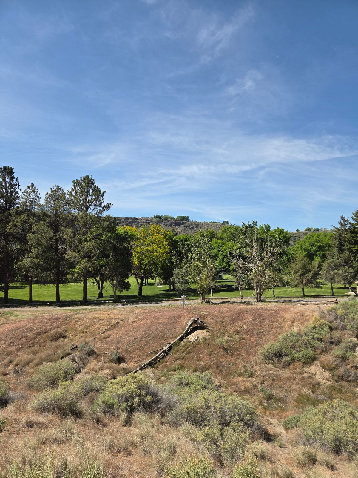 C position's green looking back at fairway