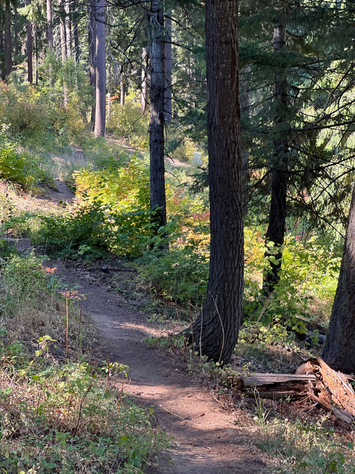 Moderate uphill/downhill