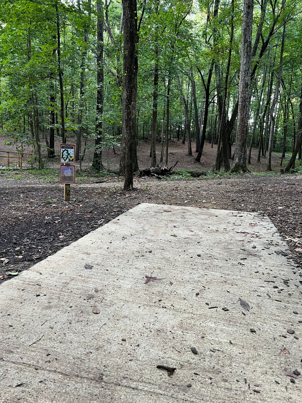 Hole 12