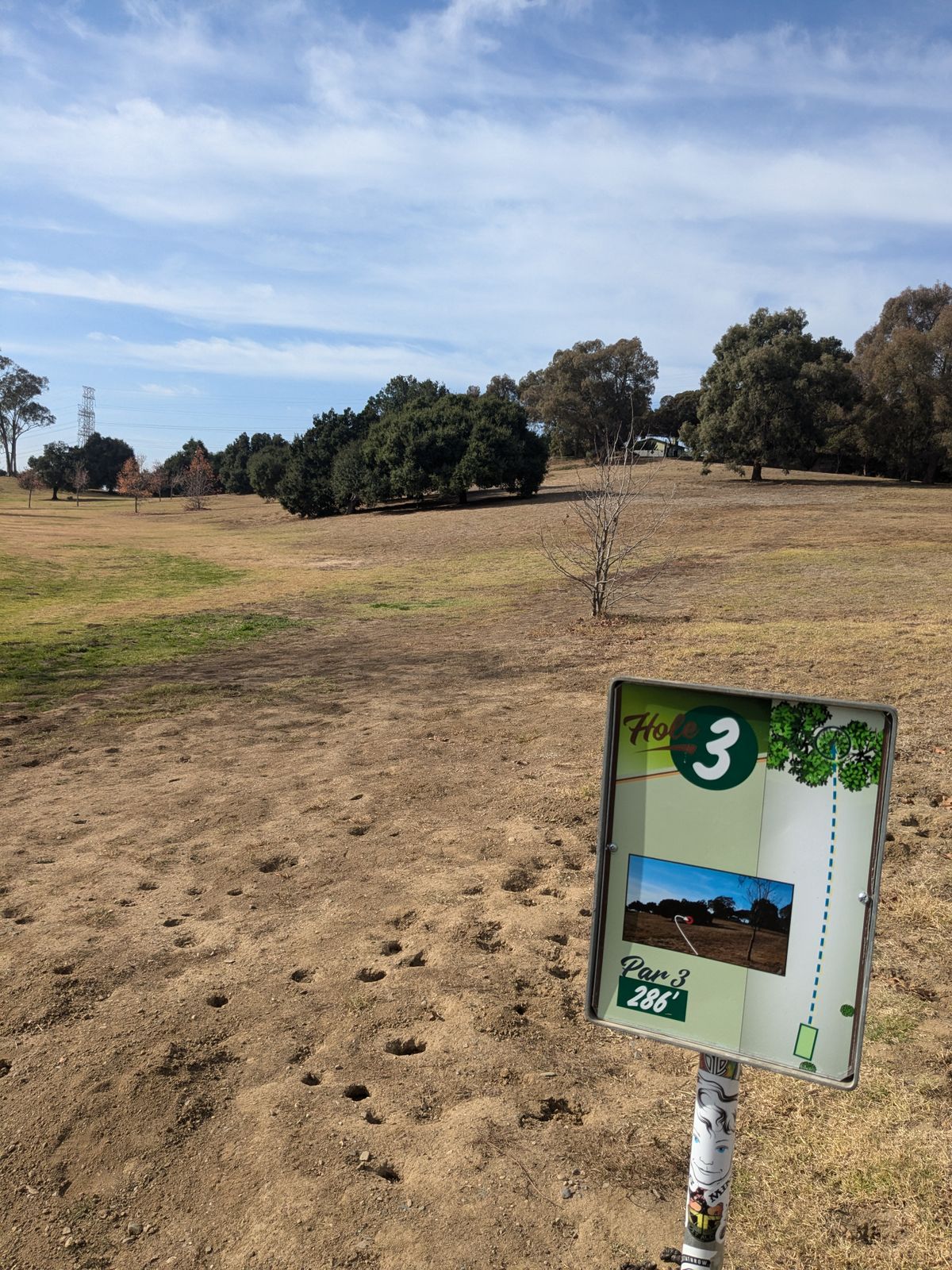 Hole #3, the basket is located just under the middle of the forward tree.