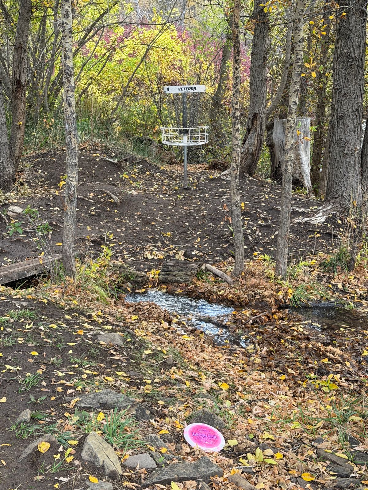 Birdie look on hole 4
