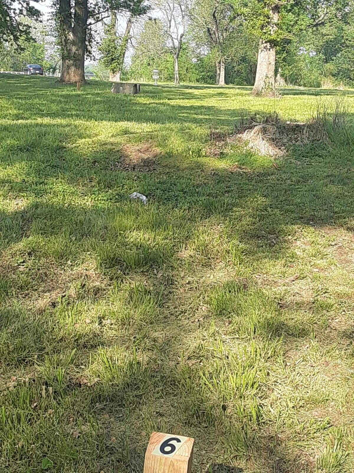 Hole 6