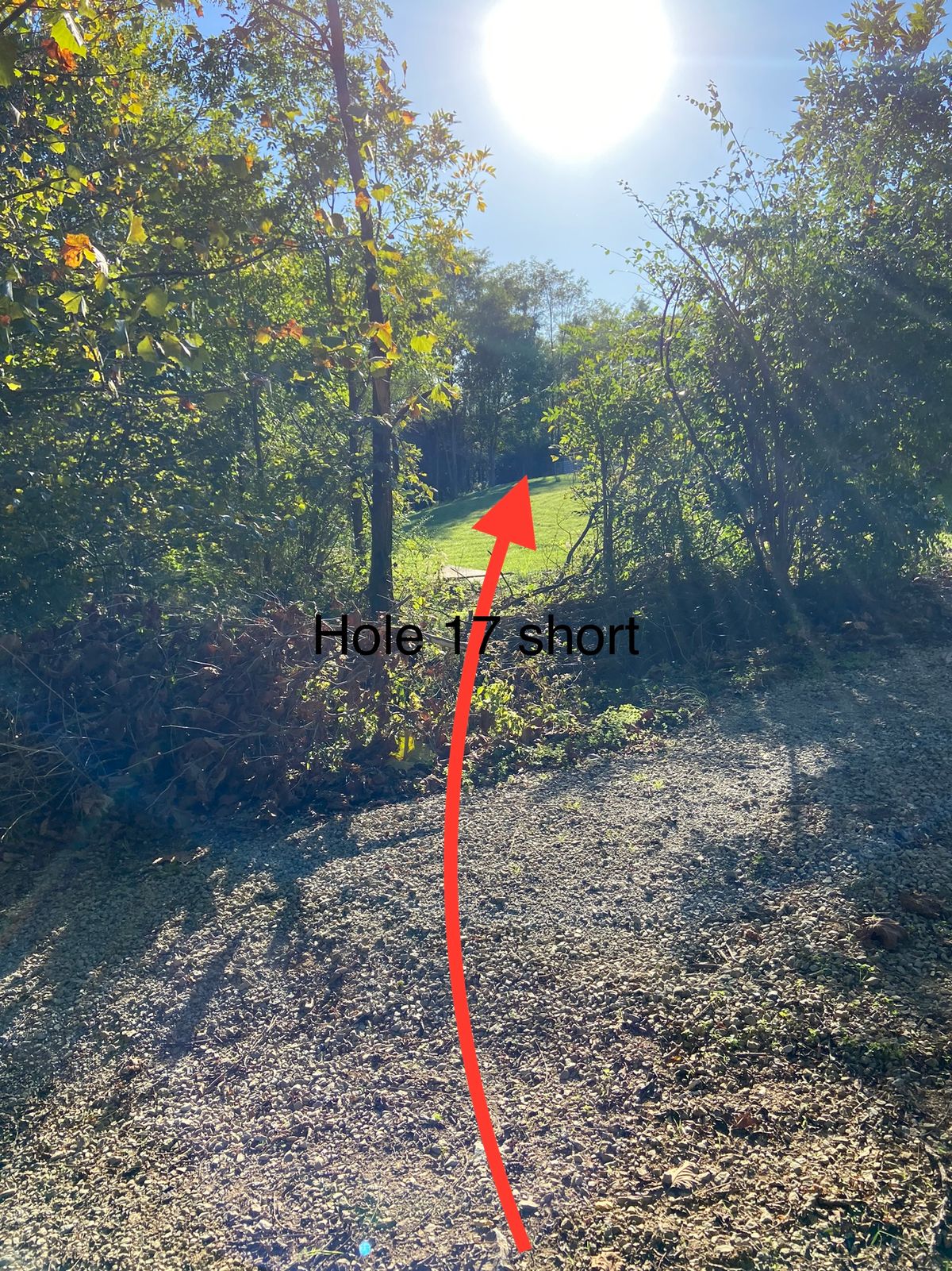 Hole 17 short