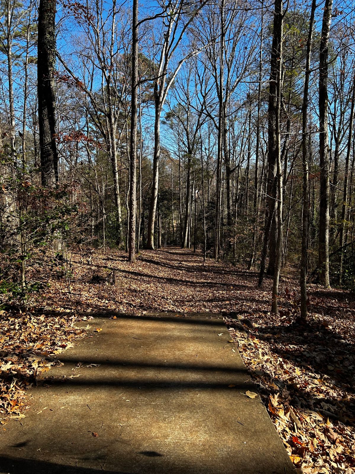 Hole 3