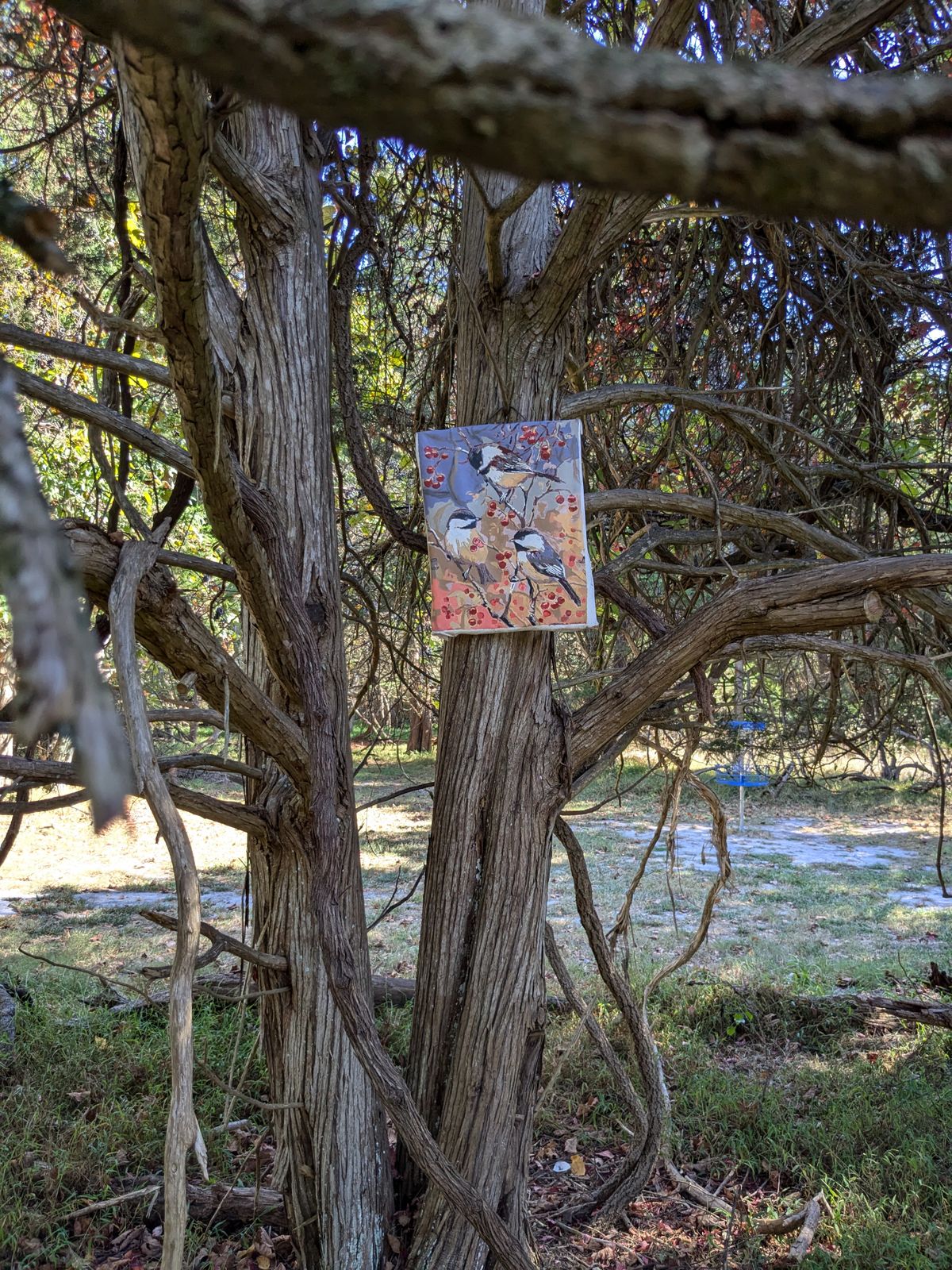 Art along the course