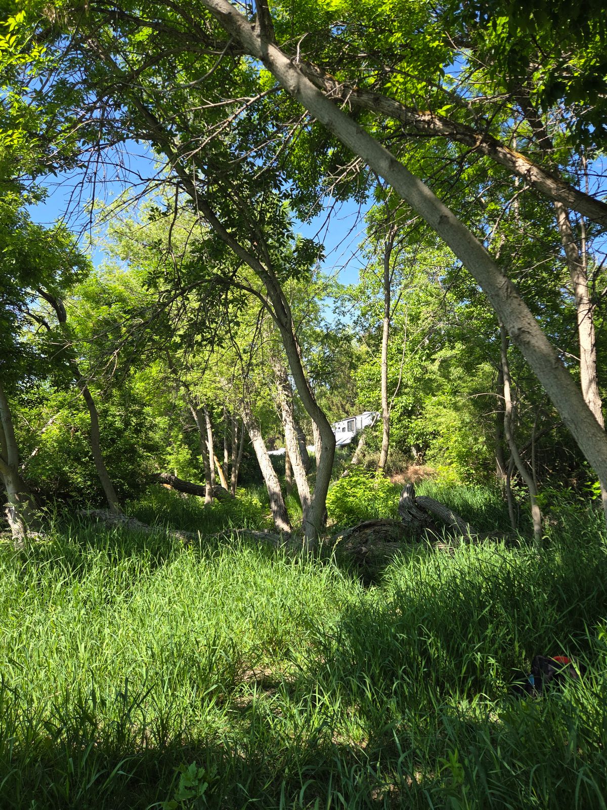 Standing at the basket, looking backwards. It's very overgrown in May