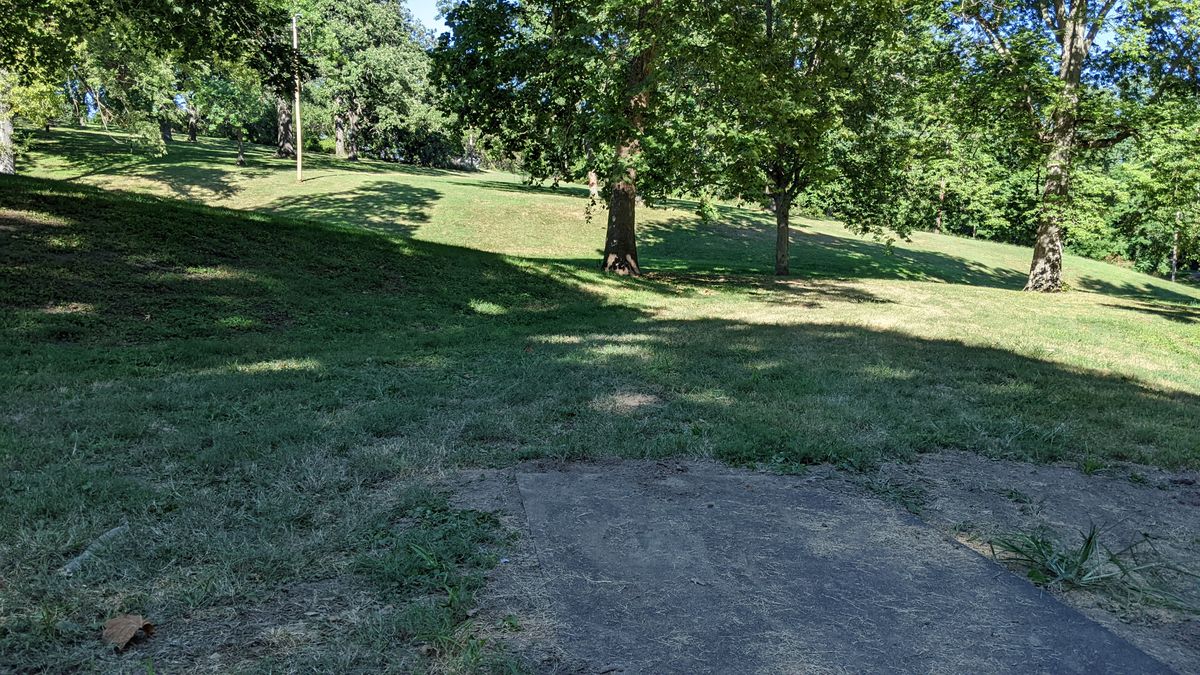 Tee #8