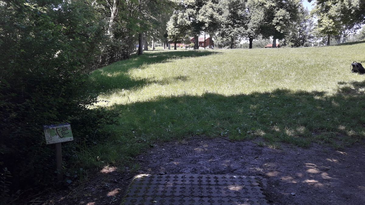 Hole 18 - going back to the parking area, short-ish hole with very small tee and some guardian trees (no putting warm up - neighbors hate it)