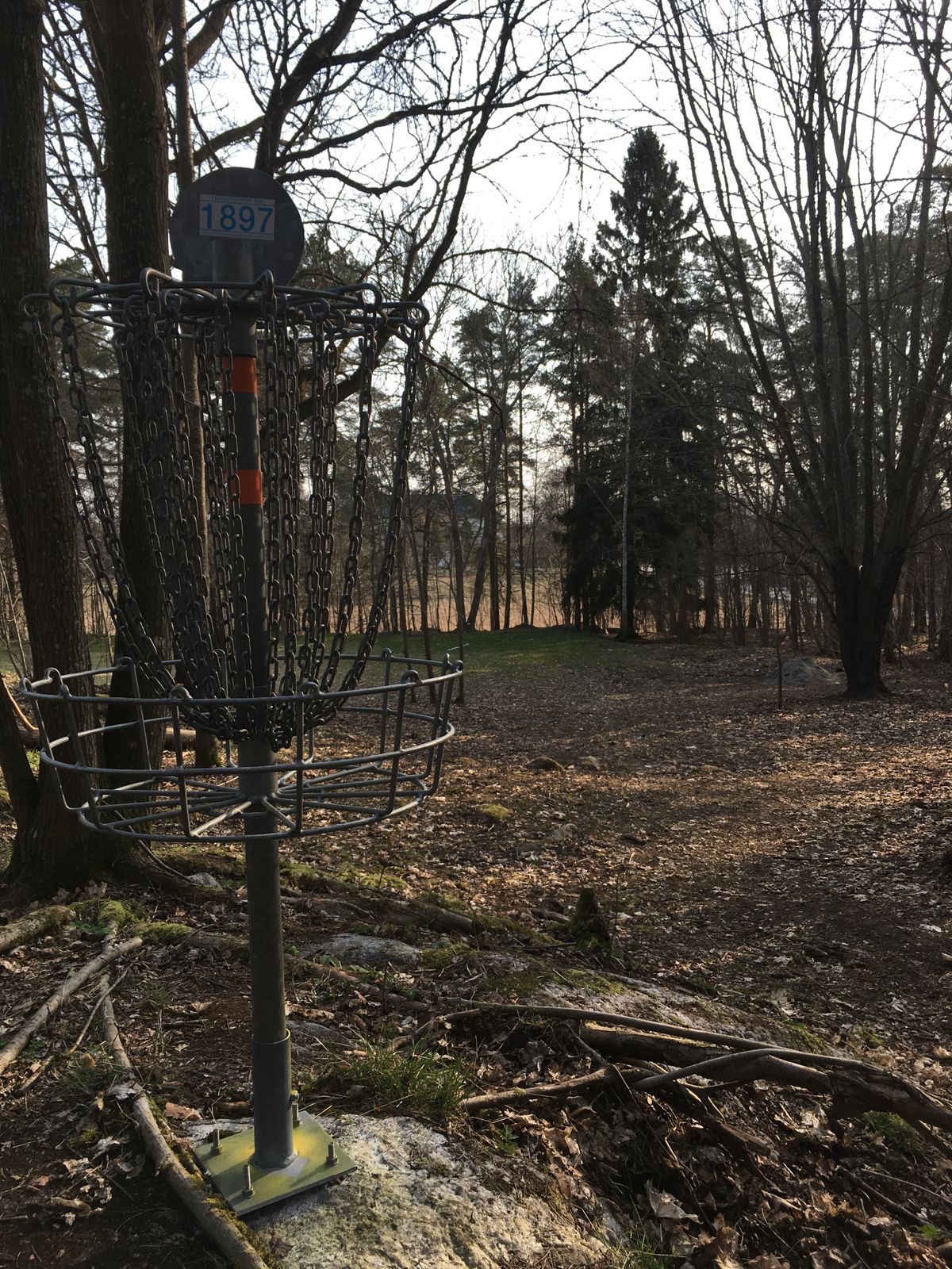 Hole #6/15