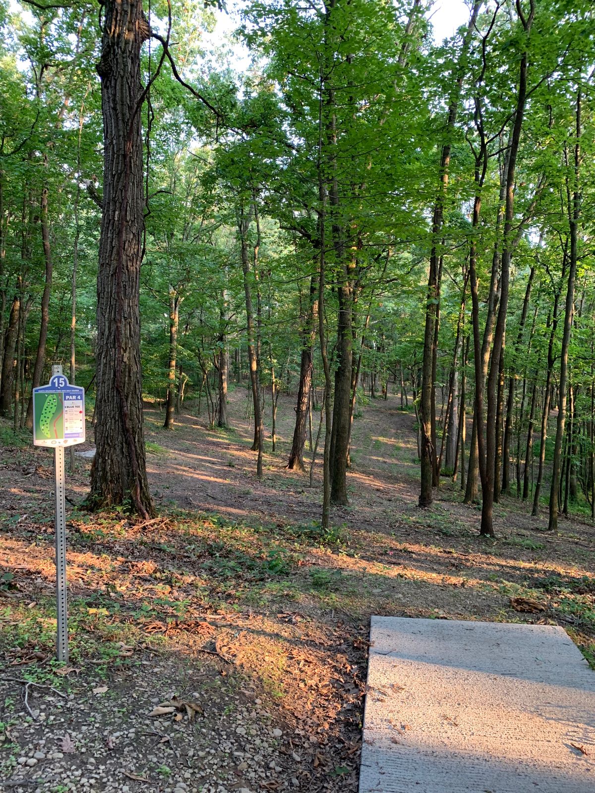 Hole 15 blue tee