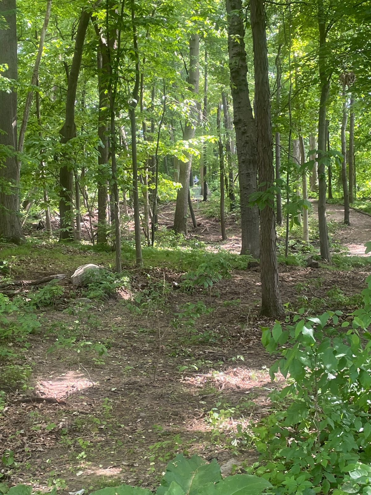 Tunnel shot at hole 7