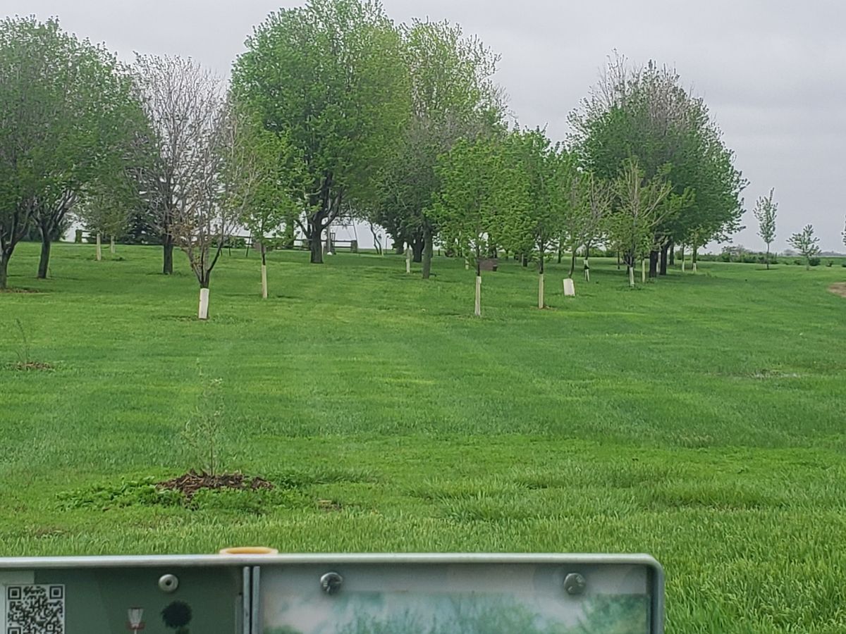 Hole 9 shot