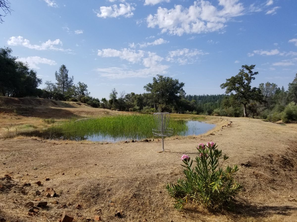 Hole 5 looking back towards the tee