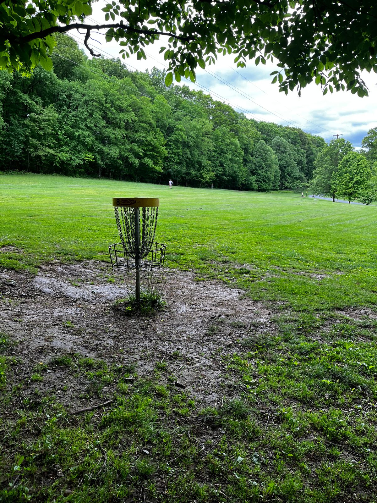 Hole 8 yellow green