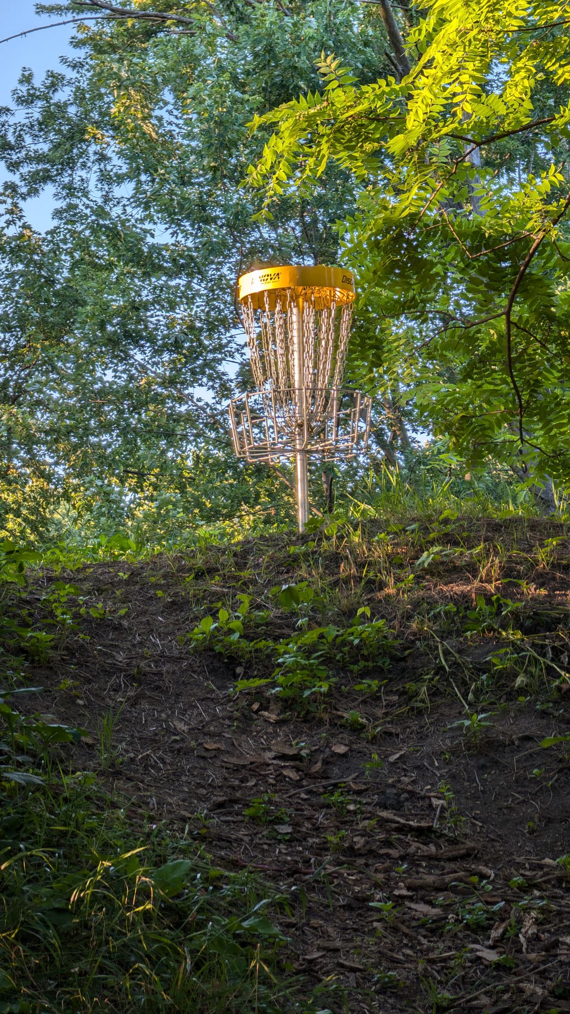 Hole L8 Basket during golden hour