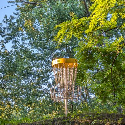 Hole L8 Basket during golden hour