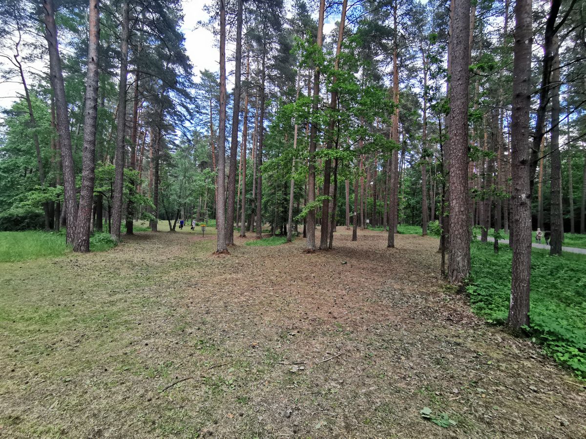 airBaltic Training Disc Golf Park