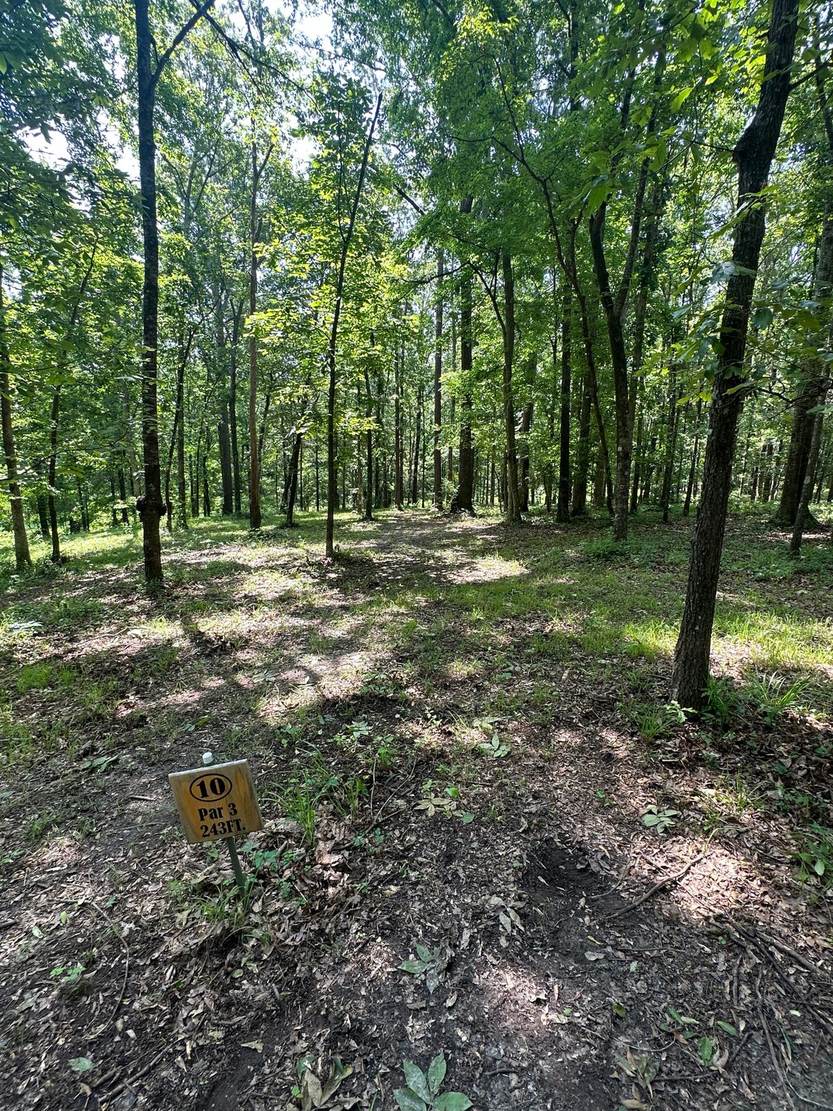 Hole 10 tees