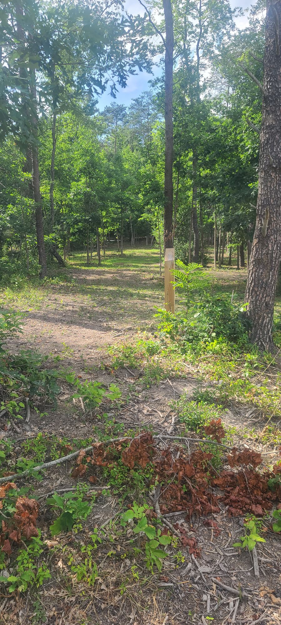 Hole 3