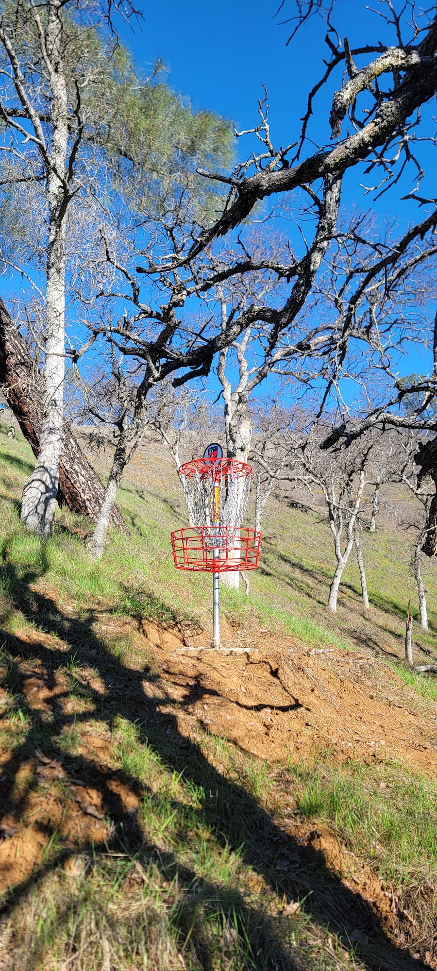 Hole 7 basket