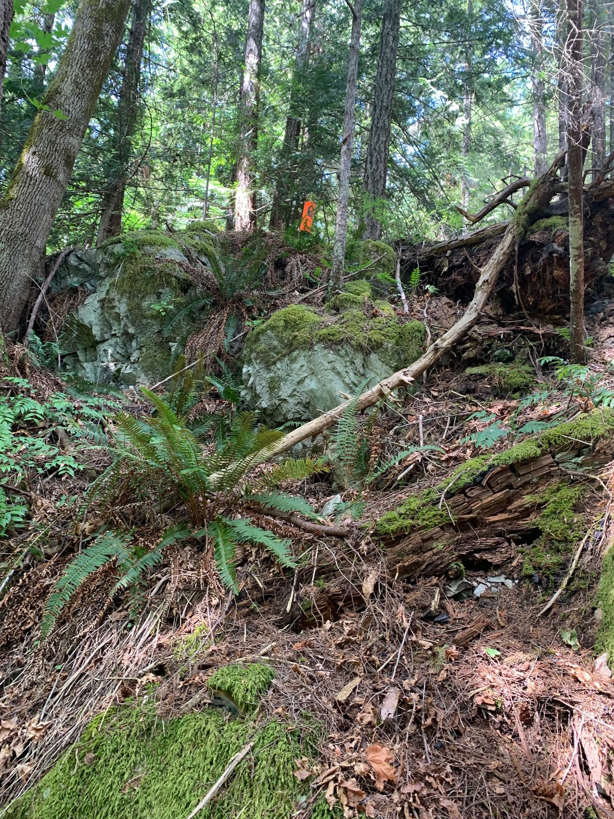Hole 6 front
