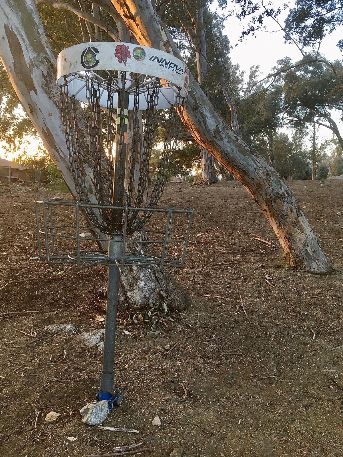 Basket 14