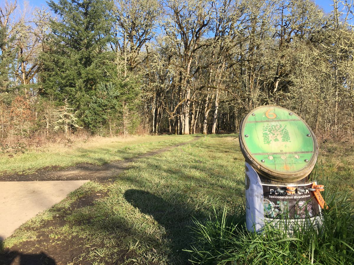 Hole 6 tee
