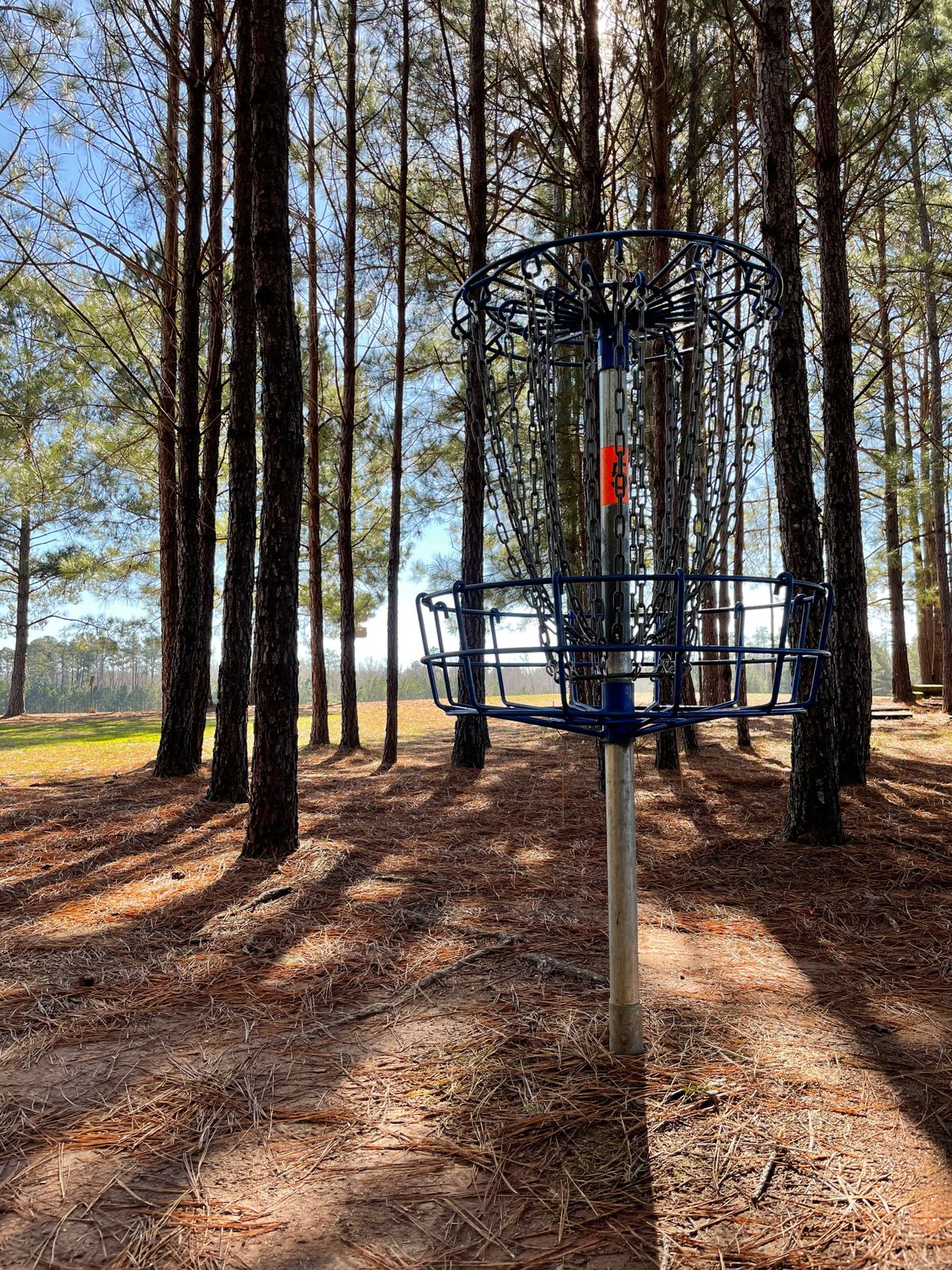 Basket on hole 5
