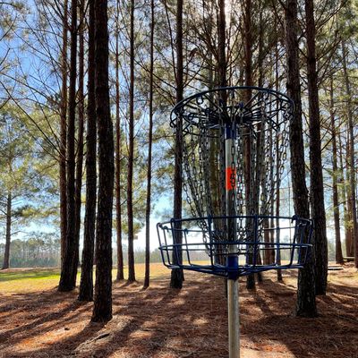 Basket on hole 5
