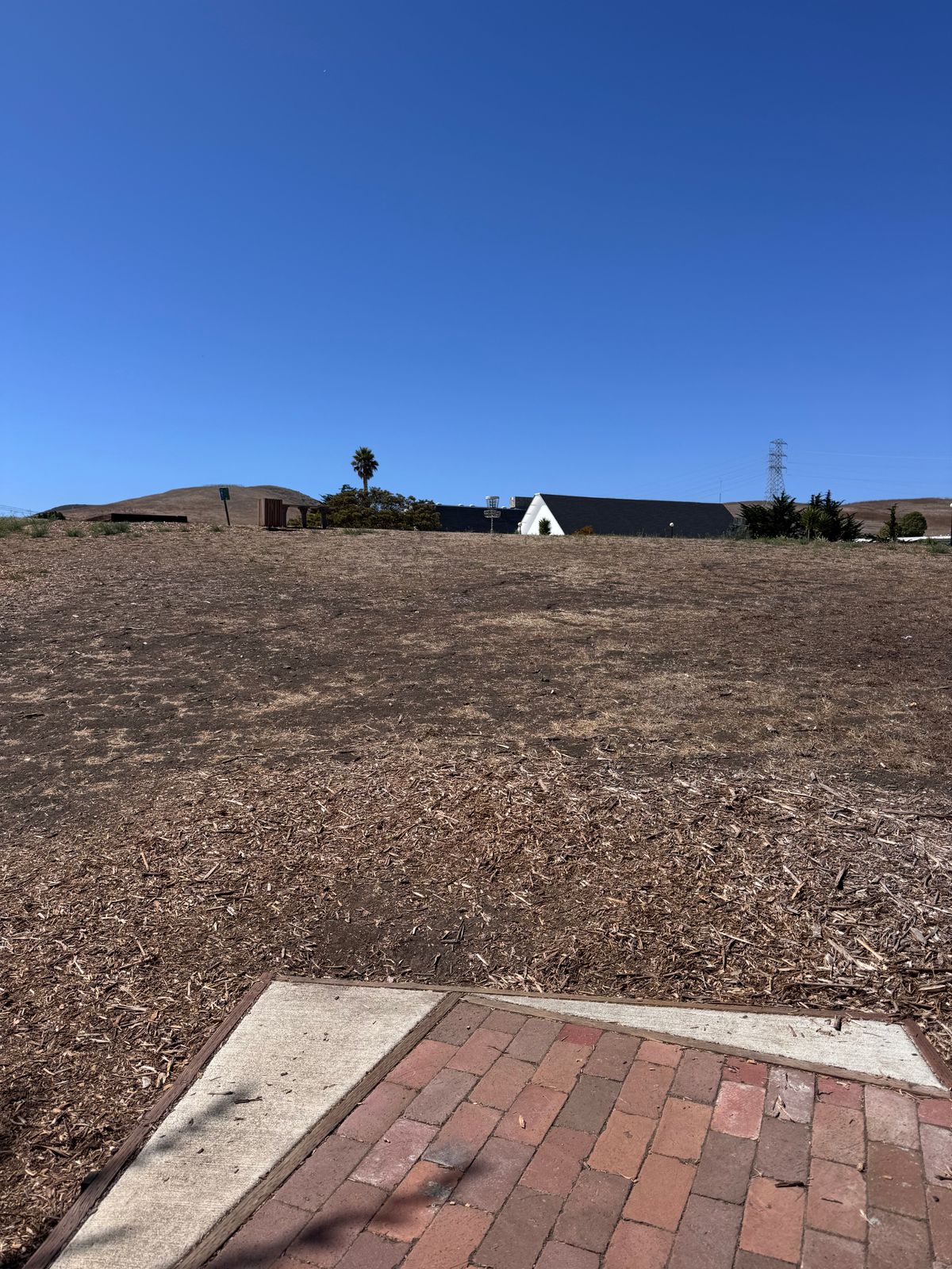 Hole 5 (8/4/25)