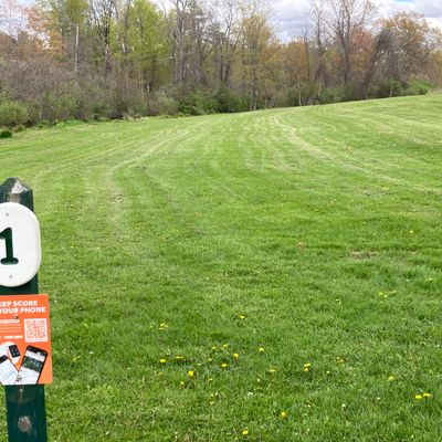 Red Tee Pad #1 lookin towards the basket

Fishkill Creek runs down the left side of the fairway, water is OUT OF BOUNDS