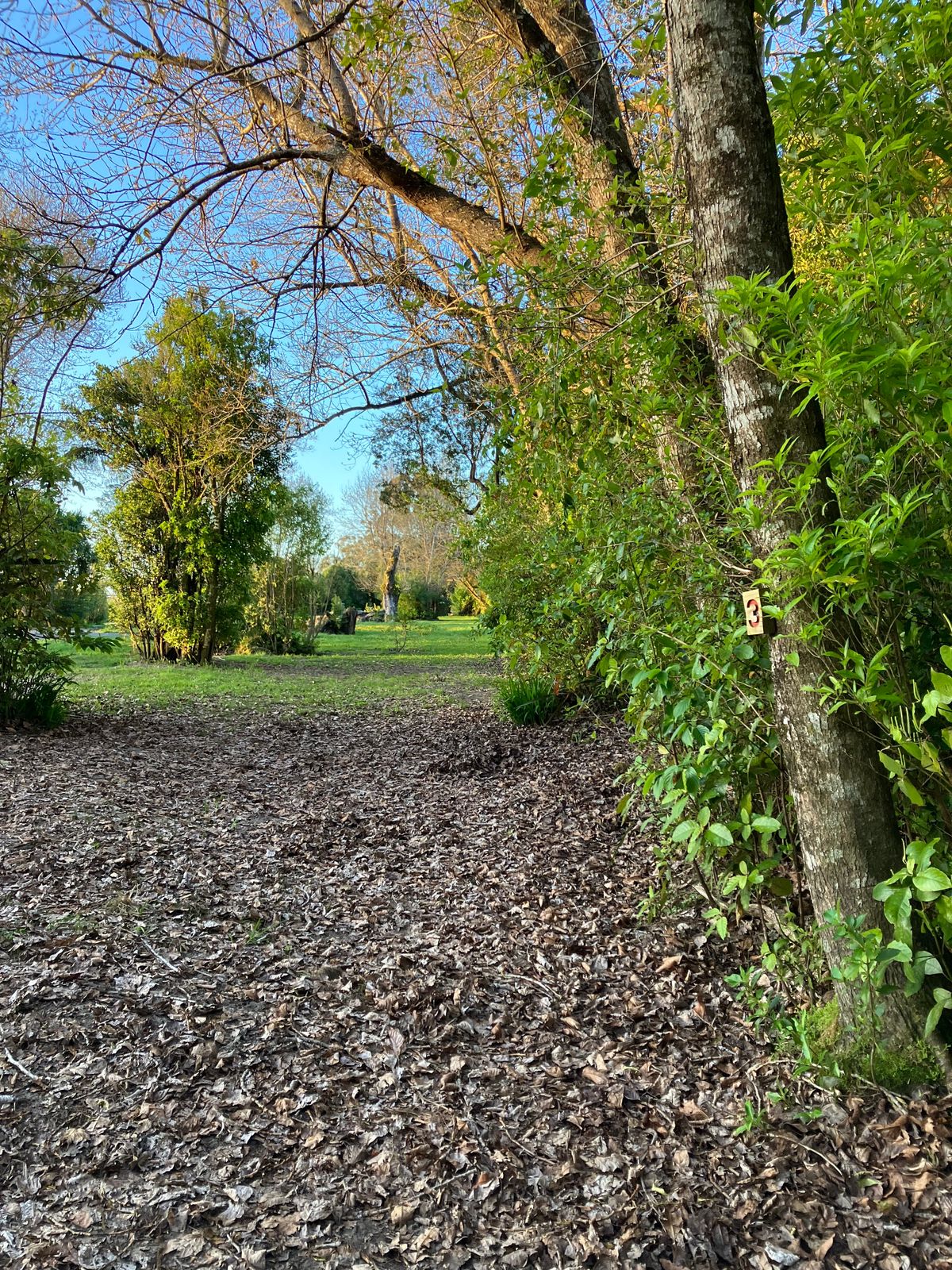 Tee 3