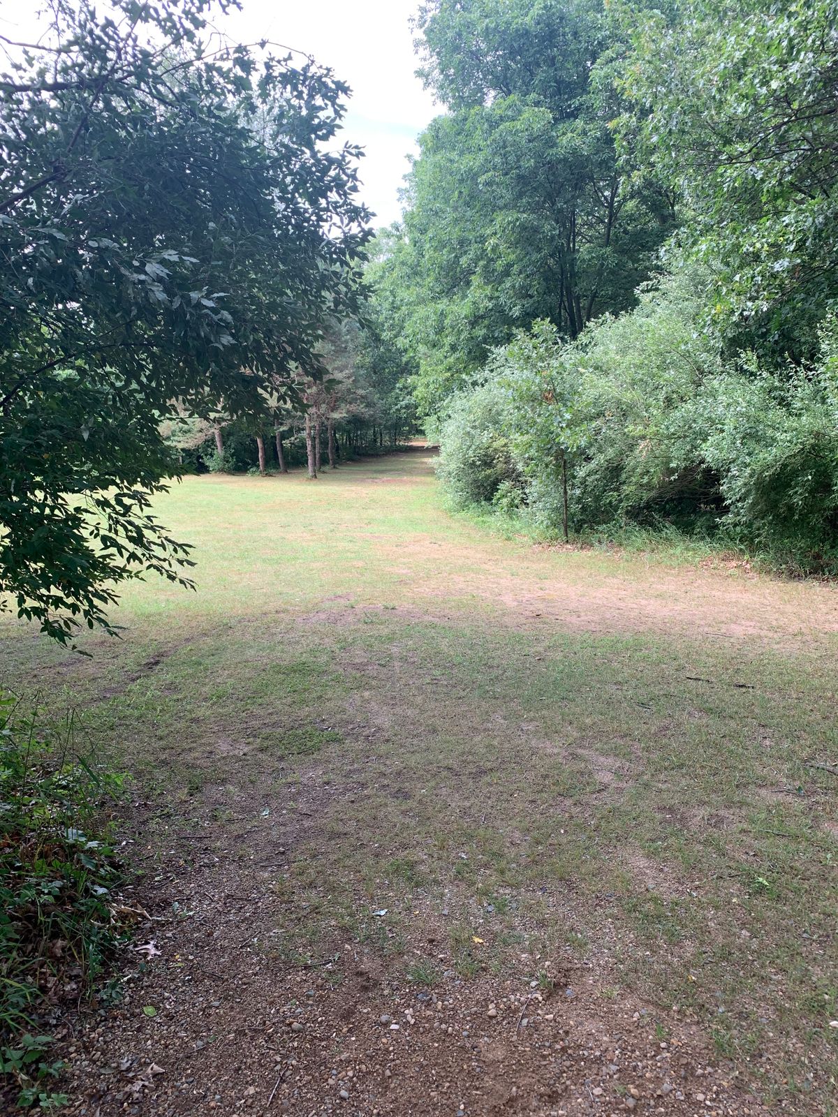 Hole 3 Tee