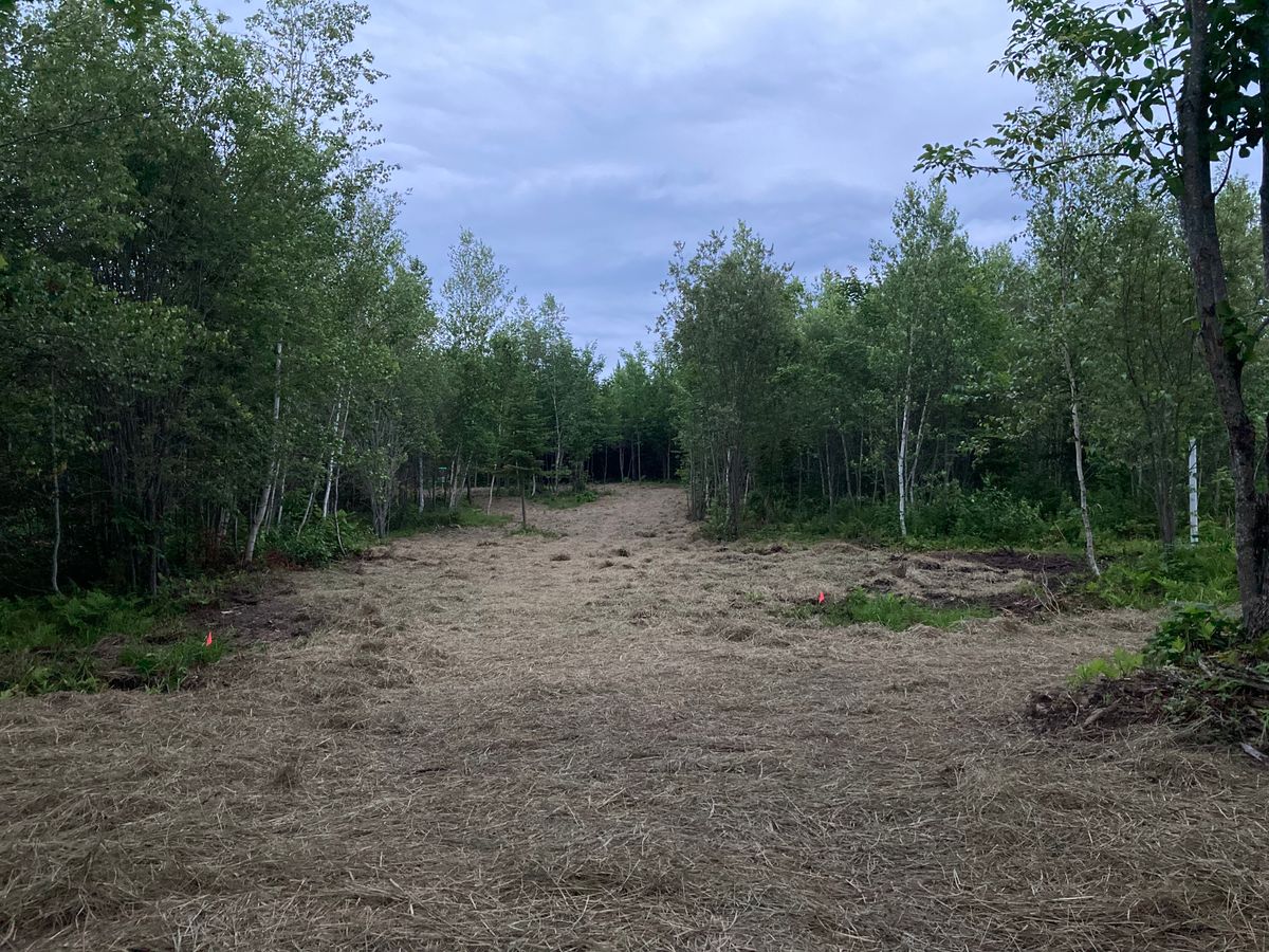 Fairway on hole 12