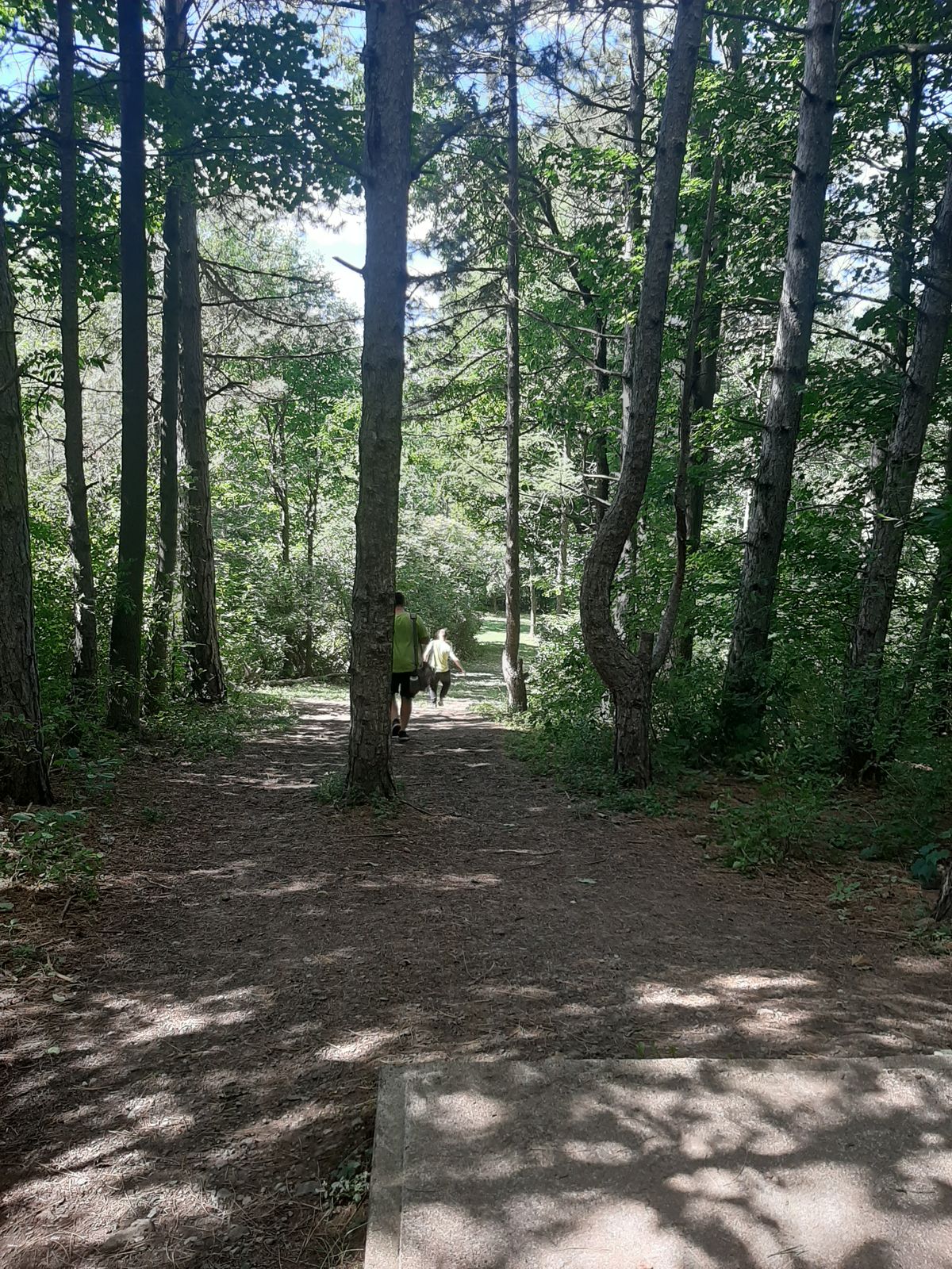 hole 6