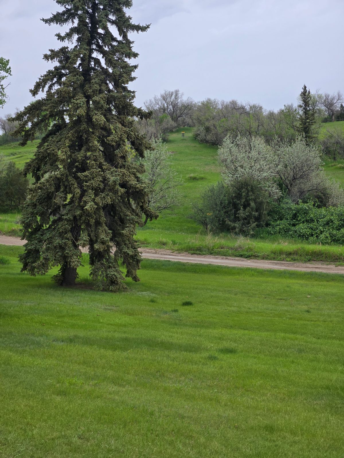 Hole 16 in the background