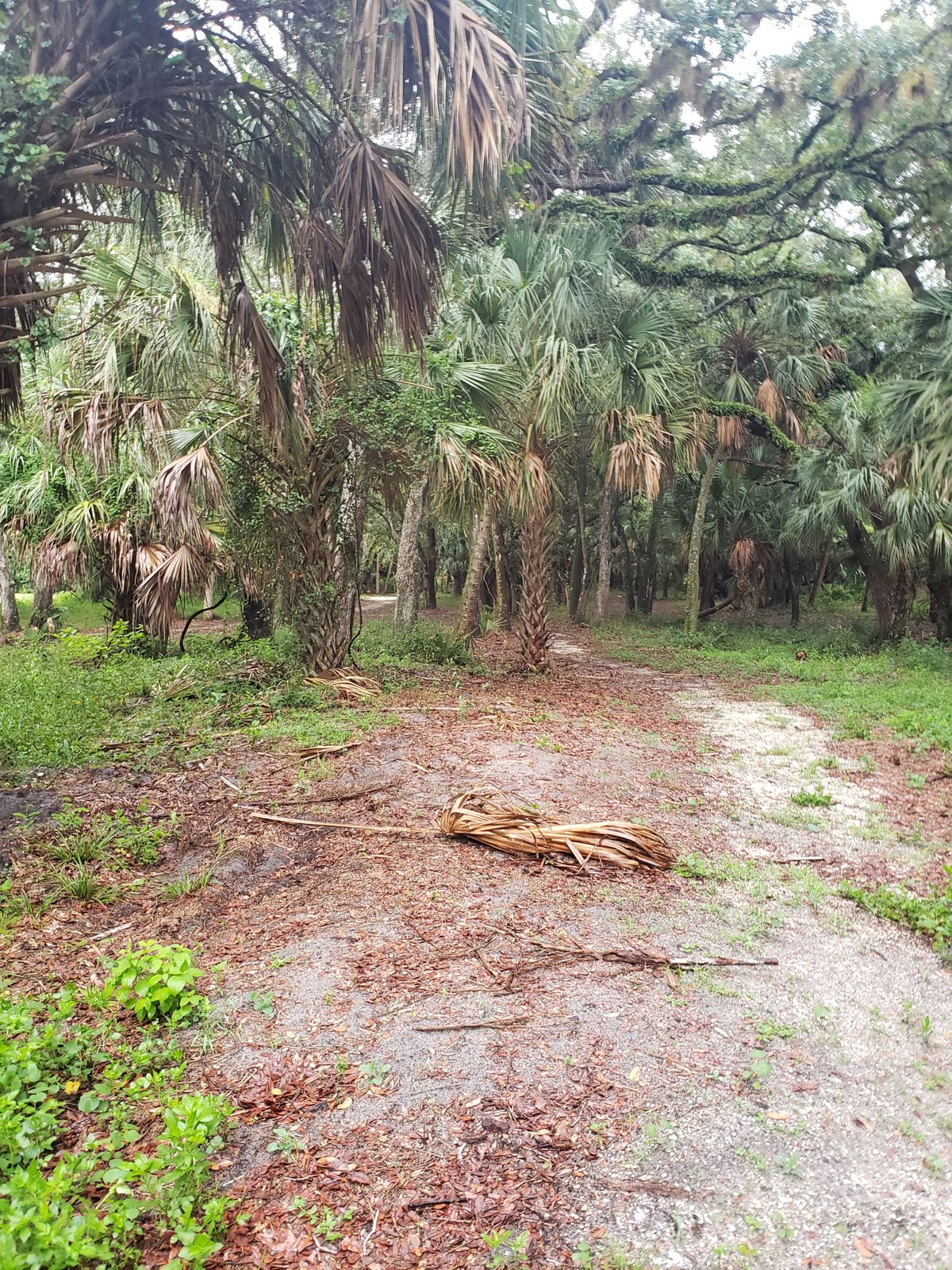 Hole 7 fairway