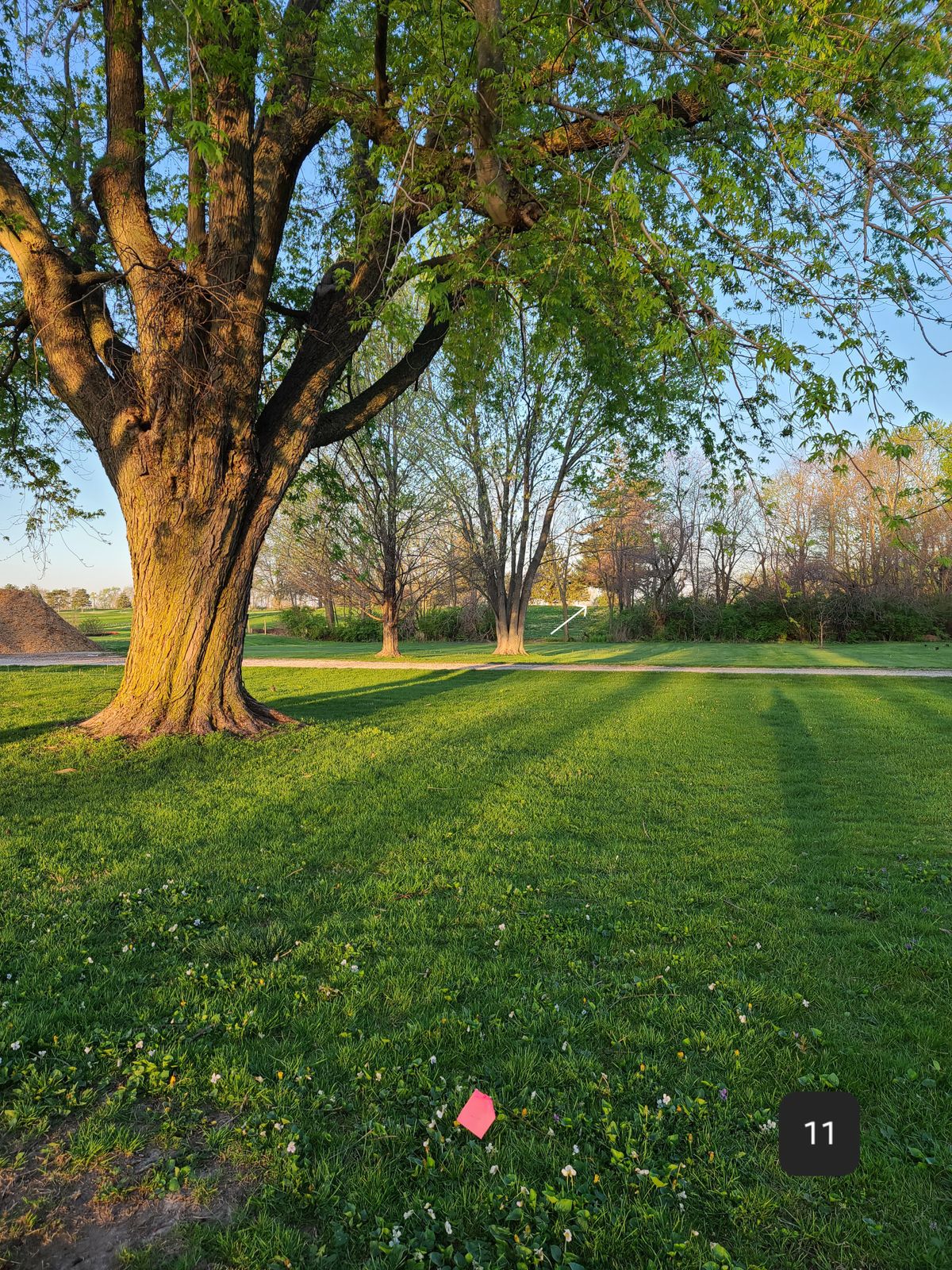Hole 11