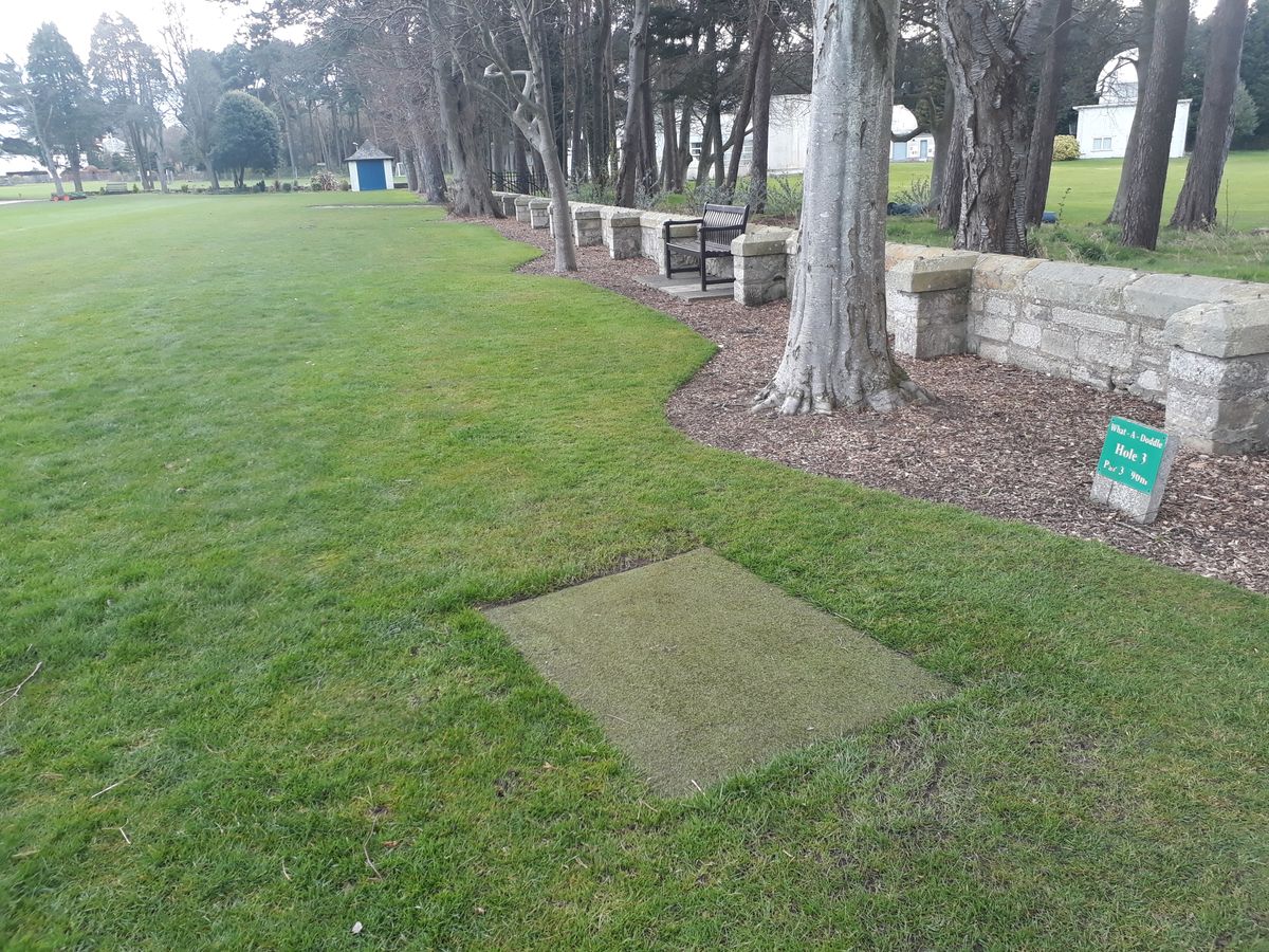 Hole 3 (right of wall is OB)