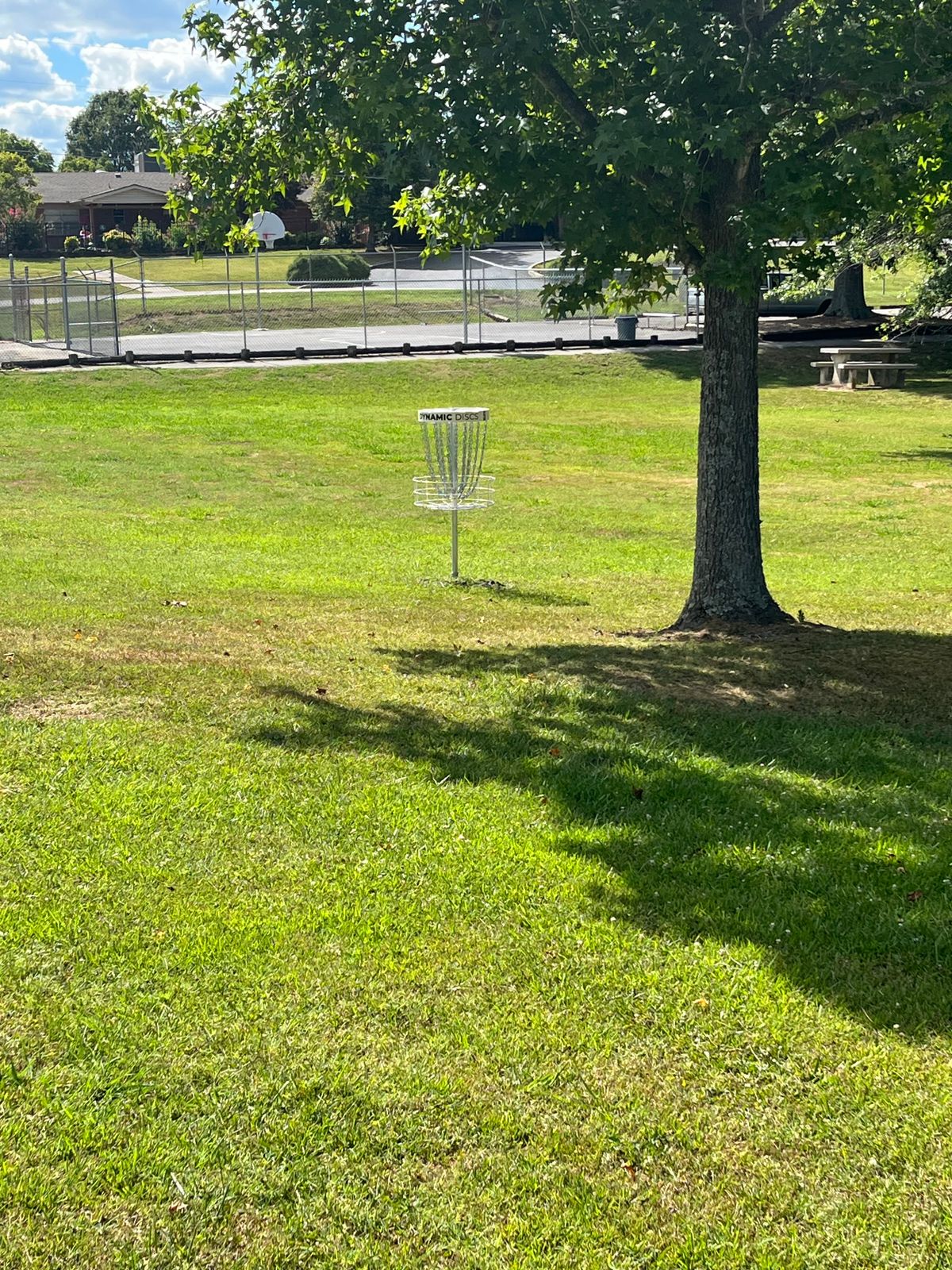 Hole five's basket