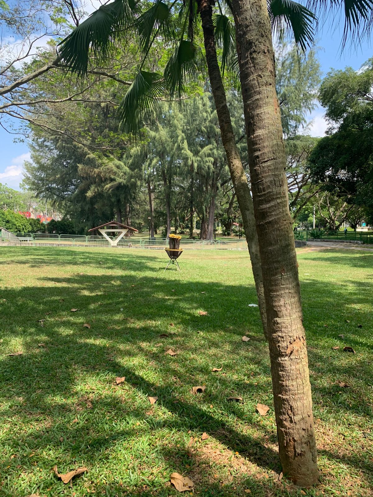 Hole 13 Basket